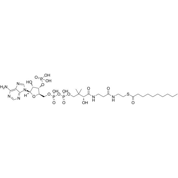Decanoyl-coenzyme A Structure