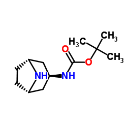 Exo-3-(Boc-amino)-8-azabicyclo[3.2.1]oct Structure
