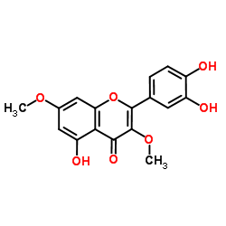 3,7-Di-O-methylquercetin Structure