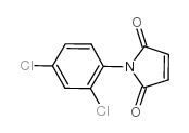 1H-Pyrrole-2,5-dione,1-(2,4-dichlorophenyl)- Structure