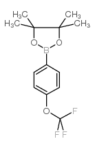 4,4,5,5-TETRAMETHYL-2-(4-(TRIFLUOROMETHOXY)PHENYL)-1,3,2-DIOXABOROLANE Structure