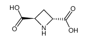 (±)-反-吖丁啶-2,4-二羧酸结构式