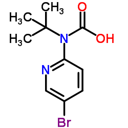 2-BOC-氨基-5-溴吡啶图片