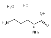D-ORNITHINE MONOHYDRATE Structure