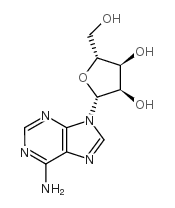 L-腺苷结构式