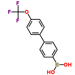 [4'-(Trifluoromethoxy)-4-biphenylyl]boronic acid Structure