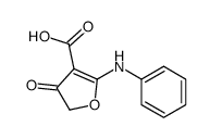 2-苯胺-4-氧代-4,5-二氢呋喃-3-羧酸图片