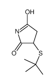3-tert-butylsulfanylpyrrolidine-2,5-dione结构式