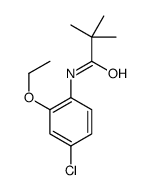 N-(4-氯-6-乙氧基苯基)-2,2-二甲基丙酰胺结构式