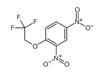 2,4-dinitro-1-(2,2,2-trifluoroethoxy)benzene Structure