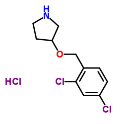 3-((2,4-Dichlorobenzyl)oxy)pyrrolidine hydrochloride Structure