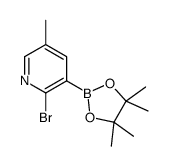 2-Bromo-5-methylpyridine-3-boronic acid pinacol ester Structure