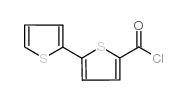 2,2’-联噻吩-5-羰酰氯结构式