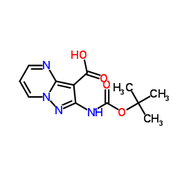 2-[叔丁氧羰基氨基]吡唑并[1,5-A]嘧啶-3-羧酸图片