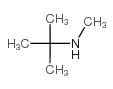 N-甲基-叔丁基胺结构式