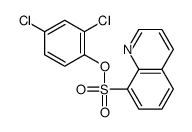 (2,4-dichlorophenyl) quinoline-8-sulfonate结构式