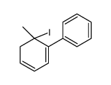 1,1'-Biphenyl, 2-iodo-2-methyl-结构式
