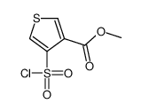 methyl 4-chlorosulfonylthiophene-3-carboxylate Structure