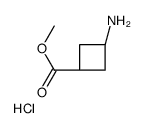 Methyl cis-3-aminocyclobutanecarboxylate hydrochloride (1:1) Structure