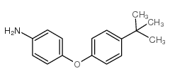 4-氨基-4’-叔丁基二苯醚结构式