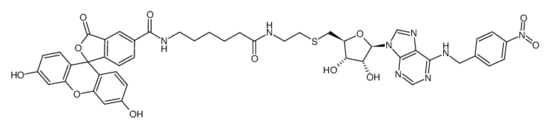 5-(SAENTA-x8)fluorescein Structure