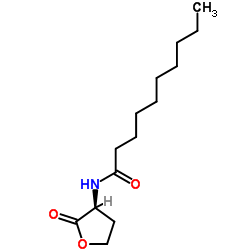 N-Decanoyl-L-homoserine lactone Structure