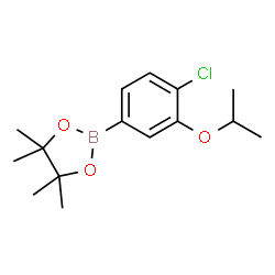 4-氯-3-异丙基苯硼酸频哪醇酯结构式