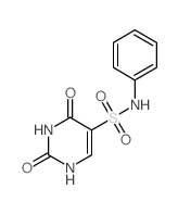 2,4-dioxo-N-phenyl-1H-pyrimidine-5-sulfonamide Structure