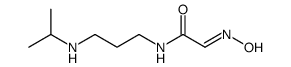 2-hydroxyimino-N-[3-(propan-2-ylamino)propyl]acetamide Structure