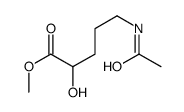 methyl 5-acetamido-2-hydroxypentanoate Structure