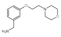 {3-[2-(吗啉-4-基)乙氧基]苯基}甲胺结构式