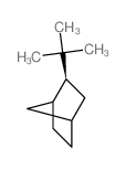 Bicyclo[2.2.1]heptane,2-(1,1-dimethylethyl)-, exo- (9CI) Structure