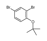2,4-二溴-1-叔丁氧基苯结构式