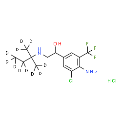 Mapenterol-D11 hydrochloride Structure