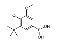 (3-tert-butyl-4,5-dimethoxyphenyl)boronic acid结构式