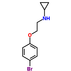 N-(2-(4-溴苯氧基)乙基)环丙胺结构式