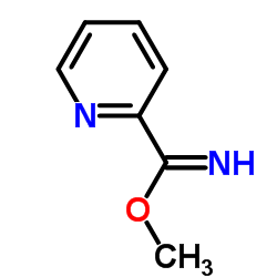 Methyl 2-pyridinecarboximidate picture
