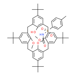 25,27-二甲氧基-26-(N-甲苯磺酰)氨基甲氧基-P-叔-butylcalix[4]芳烃结构式