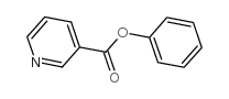 烟酸苯酯结构式