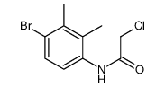 N-(4-Bromo-2,3-dimethylphenyl)-2-chloroacetamide Structure