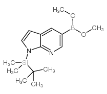 Boronic acid, [1-[(1,1-dimethylethyl)dimethylsilyl]-1H-pyrrolo[2,3-b]pyridin-5-yl]-, dimethyl ester (9CI) Structure