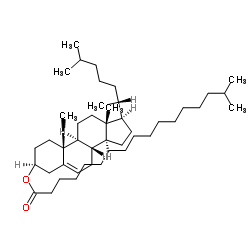 CHOLESTERYL ISOSTEARATE picture