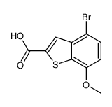 4-bromo-7-methoxy-1-benzothiophene-2-carboxylic acid Structure