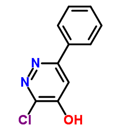3-氯-6-苯基哒嗪-4-醇图片