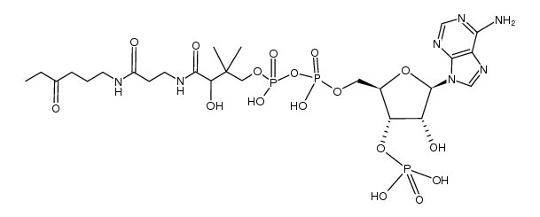 Propionyl-carba(dethia)-Coenzym-A结构式