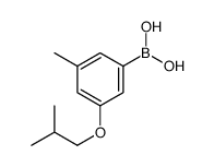 3-异丁氧基-5-甲基苯硼酸结构式