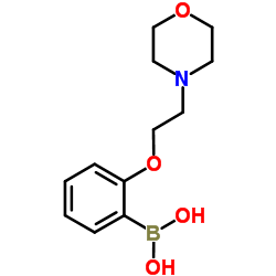 2-(2-吗啉代乙氧基)苯基硼酸结构式