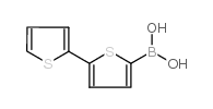 2,2'-联噻吩-5-硼酸图片