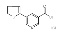 5-(2-thienyl)nicotinoyl chloride hydrochloride Structure