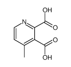 4-methyl-pyridine-2,3-dicarboxylic acid结构式